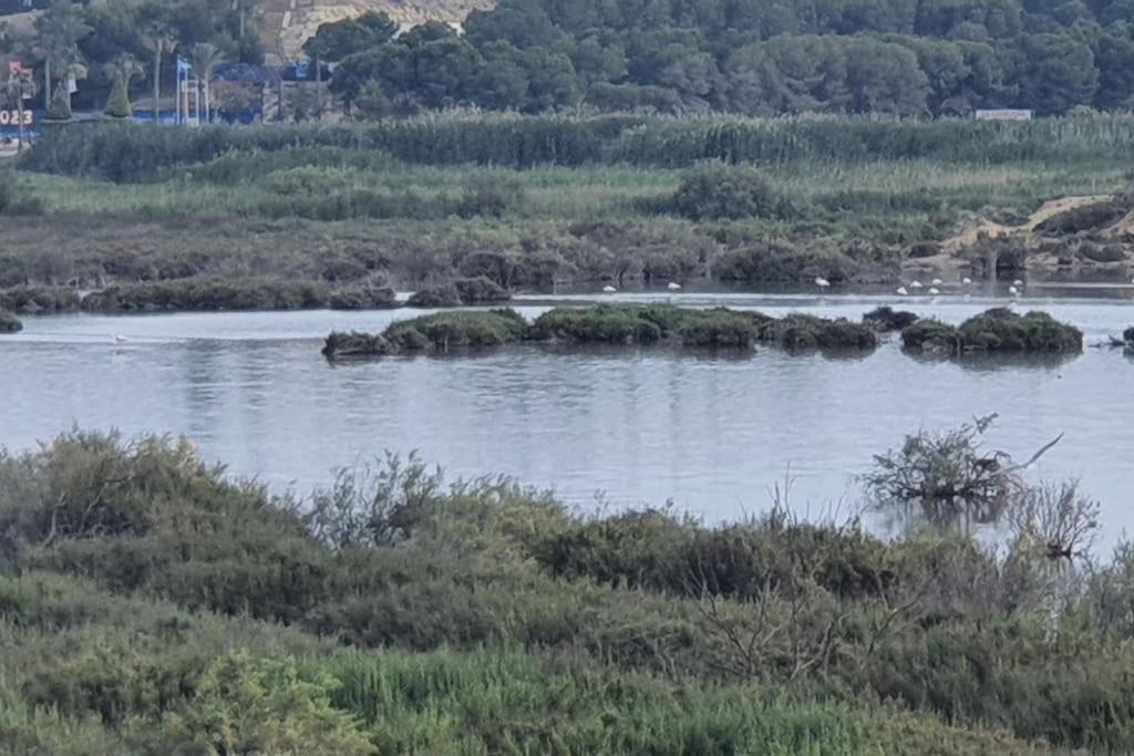 Encantador Relajante Naturista Torremar Vera Playa エクステリア 写真
