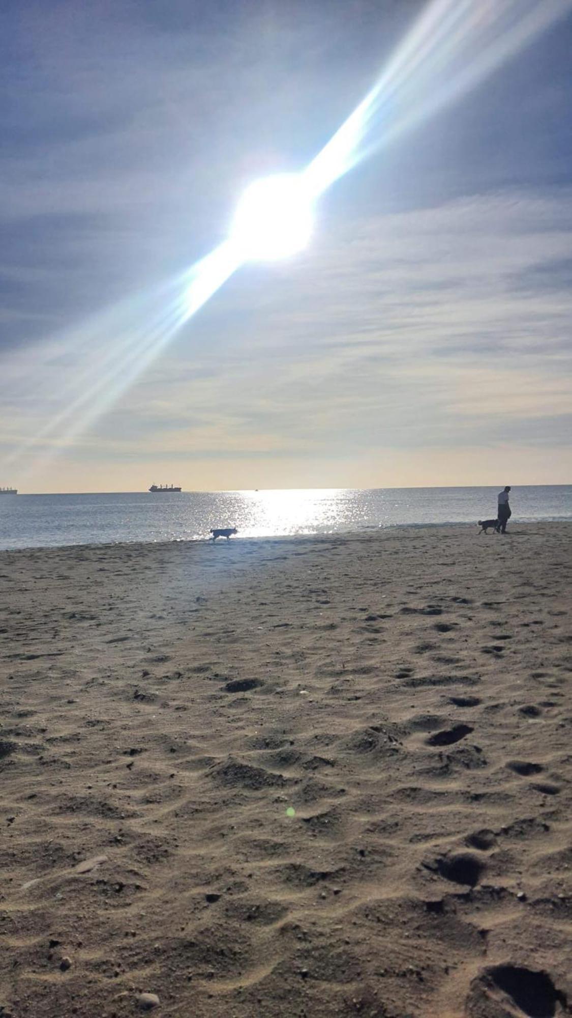 Encantador Relajante Naturista Torremar Vera Playa エクステリア 写真